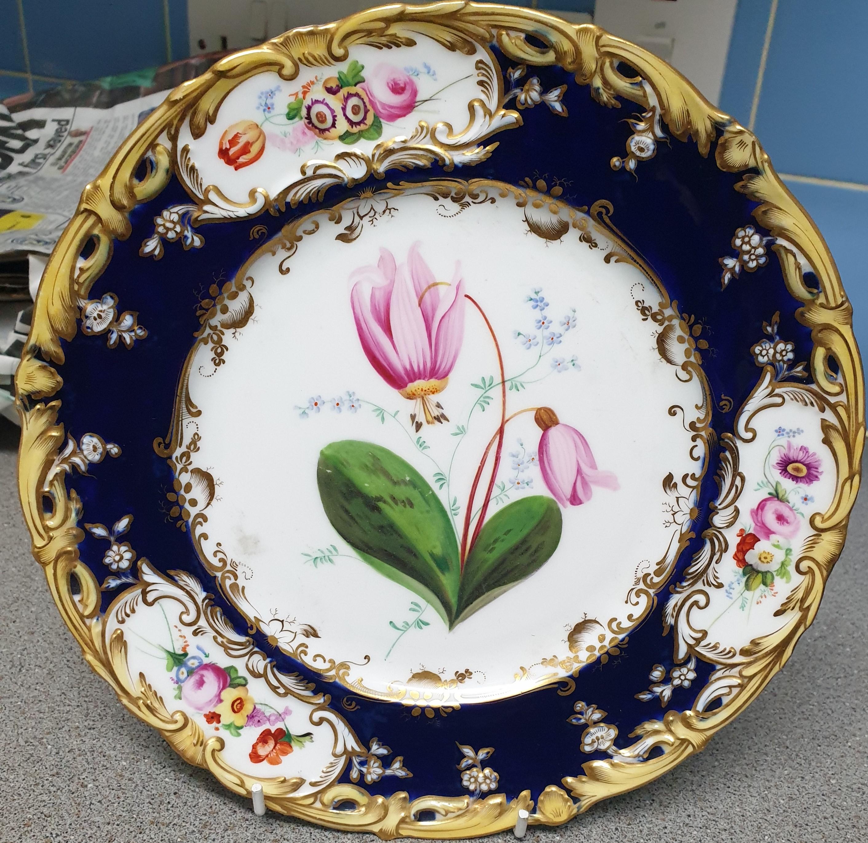 English Botanical Coalport Cobalt Blue Dessert Service by Stephen Lawrence  For Sale 2