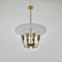 Botanical Dome Pendant