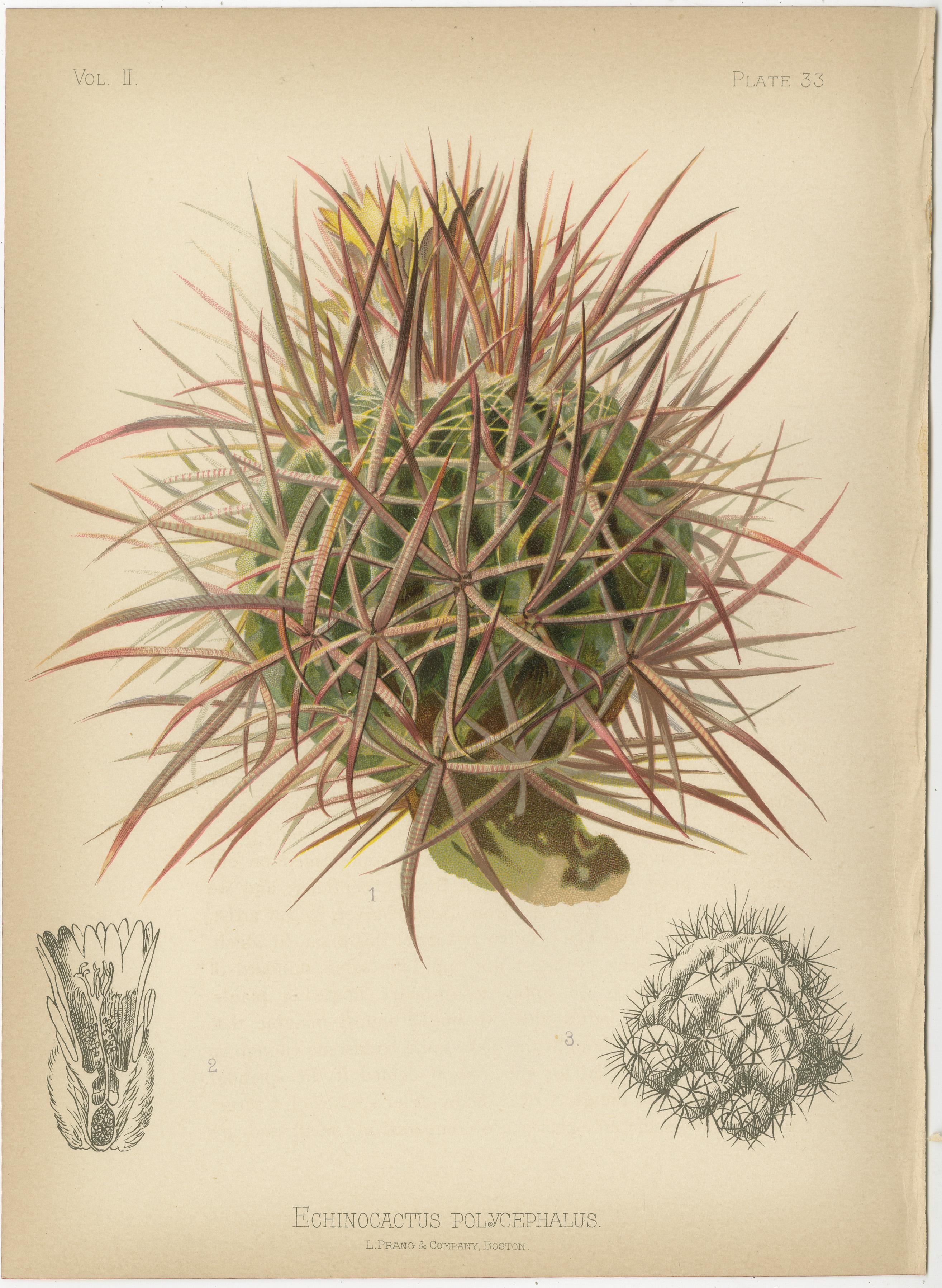 Botanical Elegance: A 19th Century Floral Mosaic, 1879 For Sale 1
