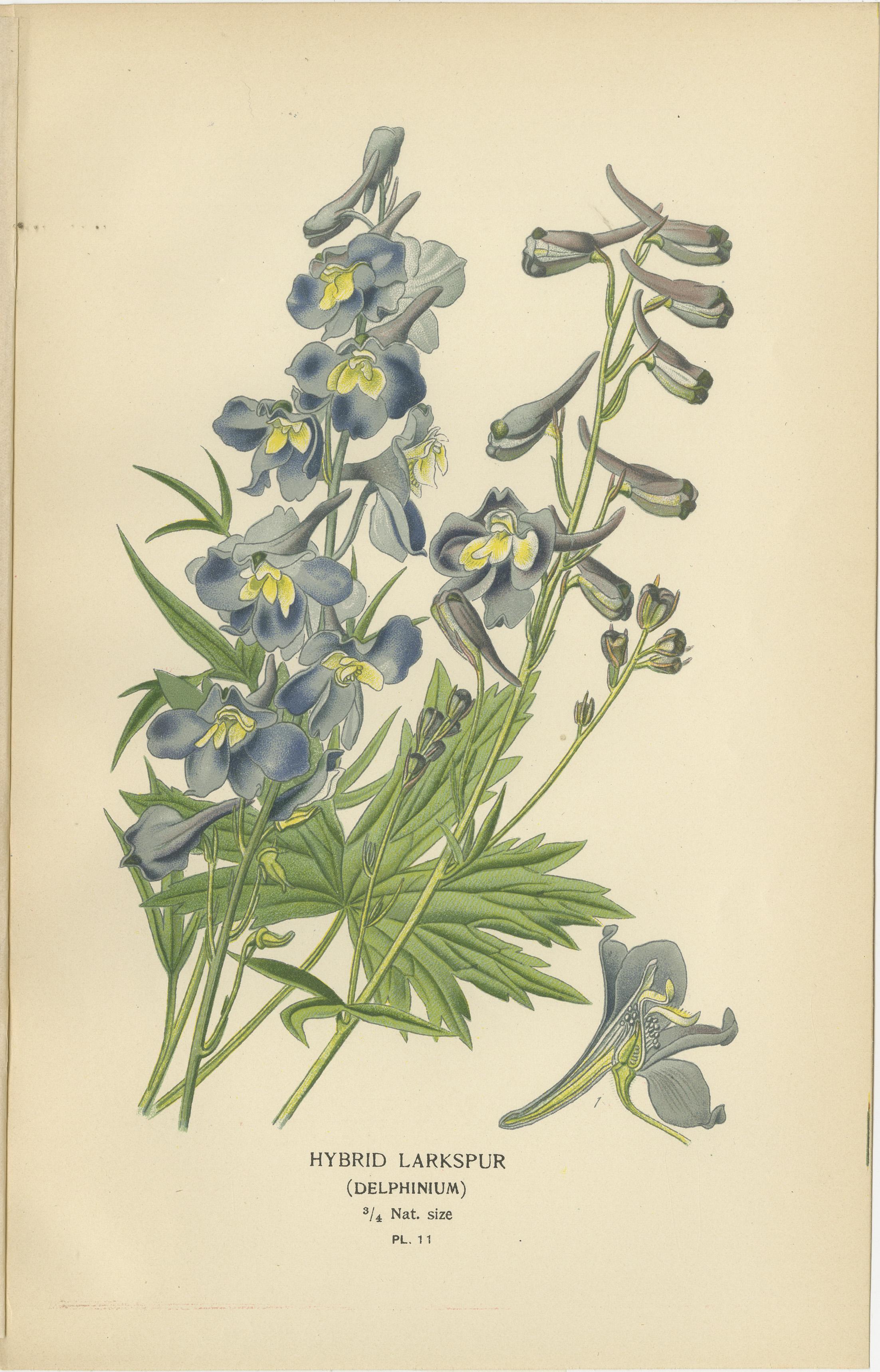 Botanical Elegance: Ein Triptychon aus Garten- und Gewächshauskugeln, 1896 (Spätes 19. Jahrhundert) im Angebot