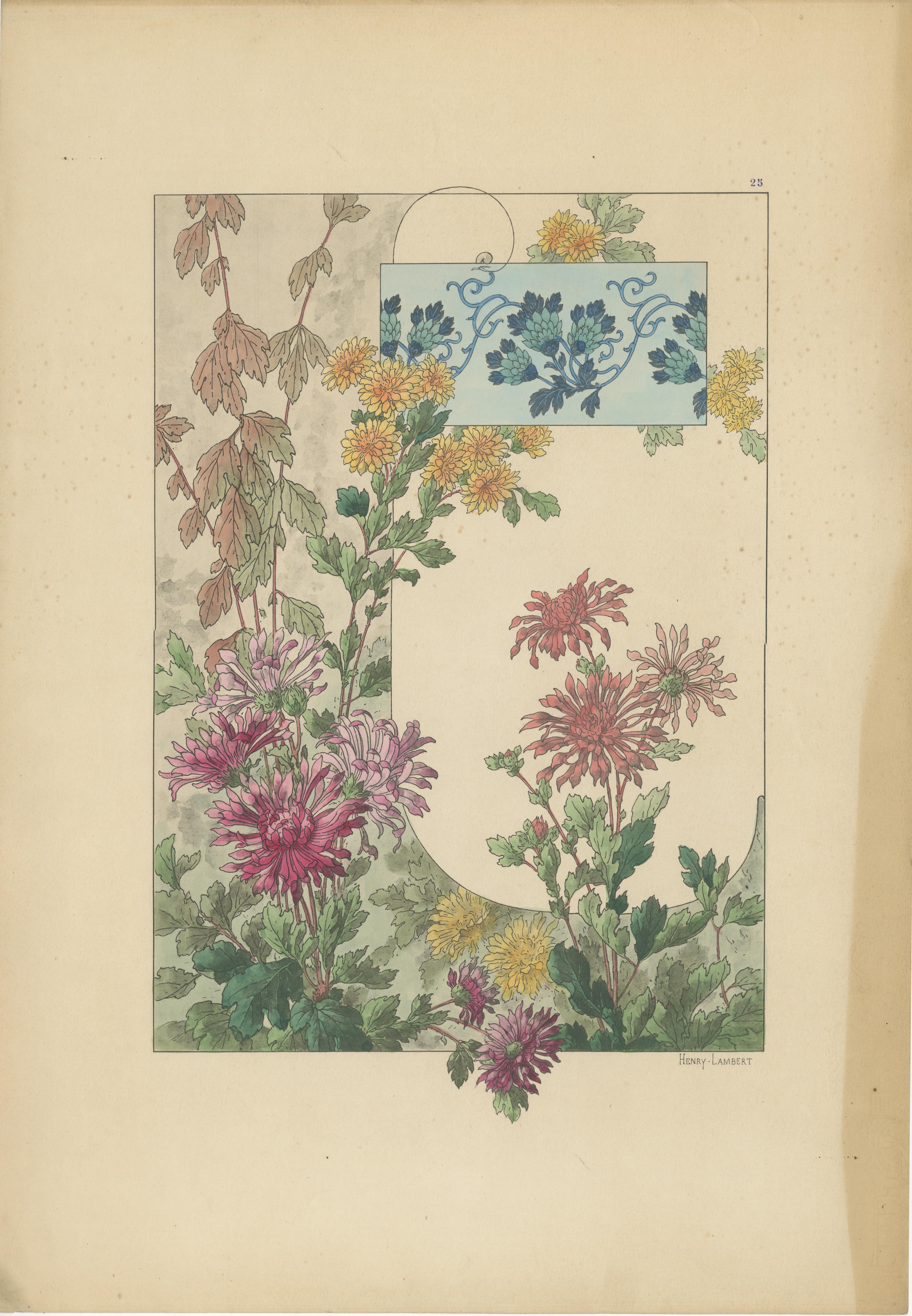 Botanische Eleganz des Jugendstils: Eine Sammlung von floralen Meisterwerken, 1896 im Angebot 3