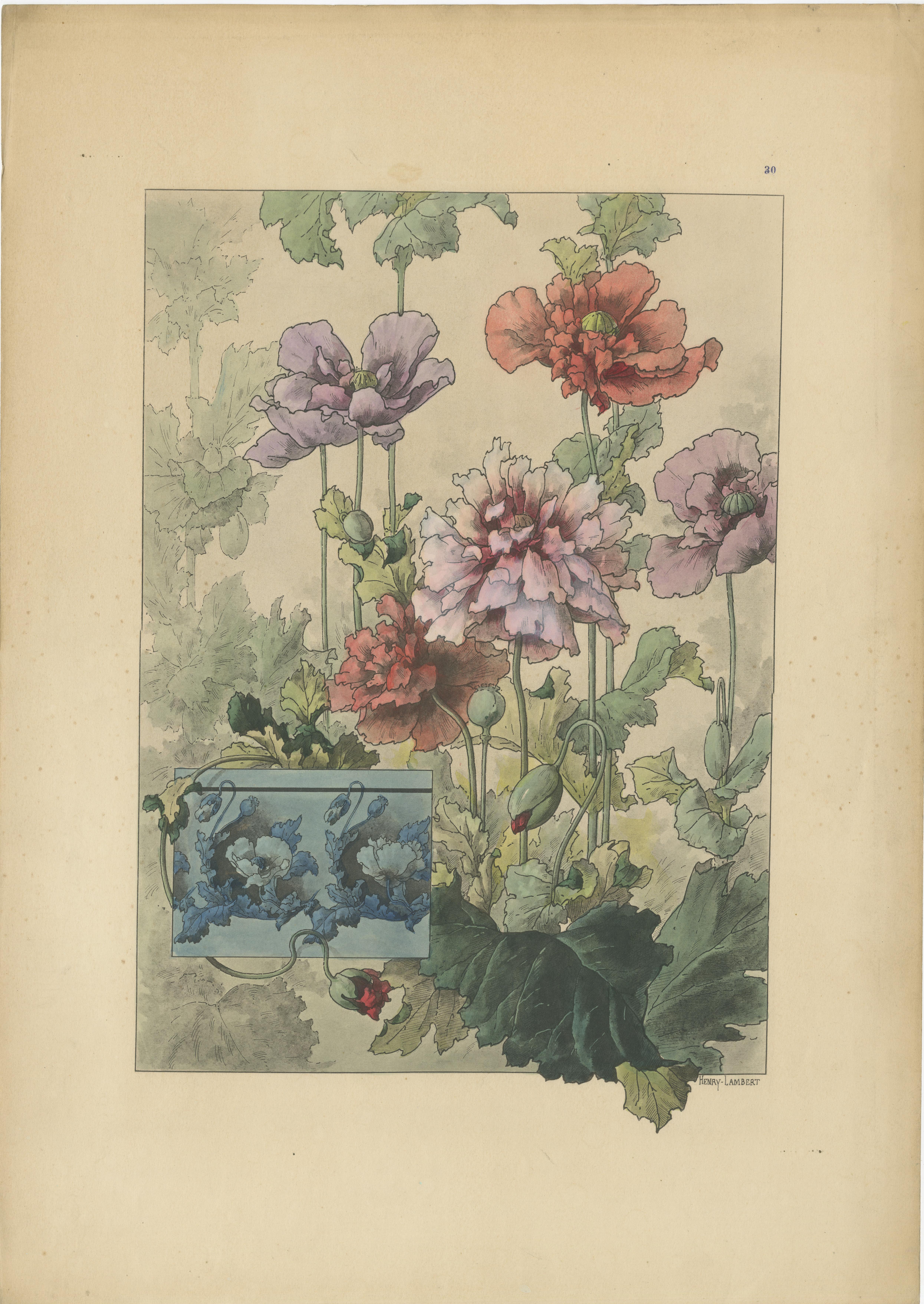 Botanische Eleganz des Jugendstils: Eine Sammlung von floralen Meisterwerken, 1896 im Angebot 4