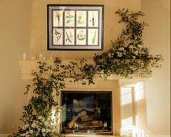 Set of 8 19th Century Botanical & Insect Engravings by John Curtis (Framed)