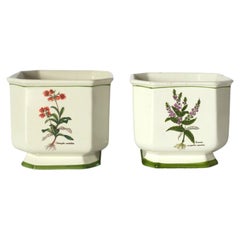 Vintage Botanical Flower or Plant Pot Holders Planters Cachepots, Set of 2