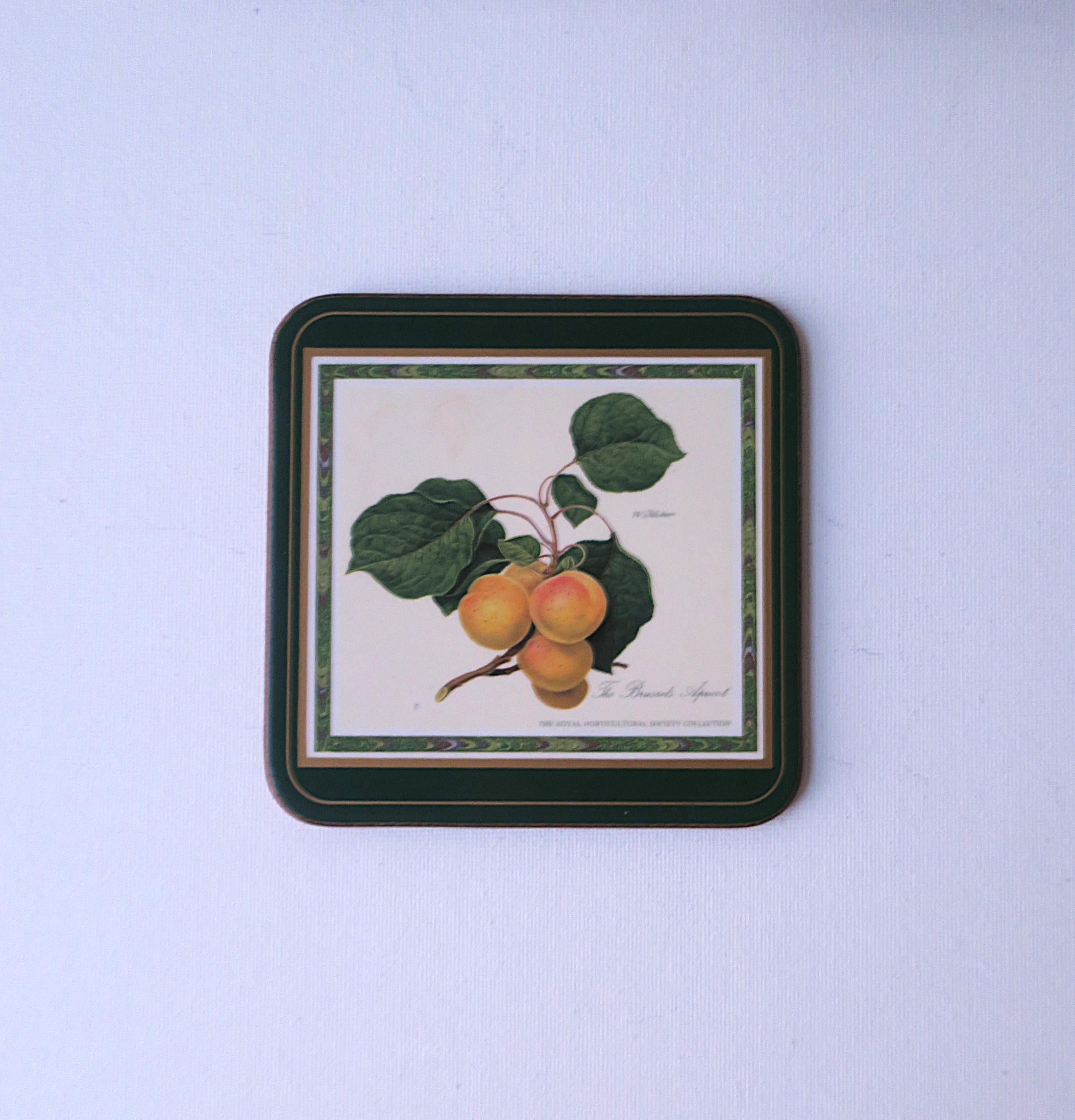 Botanical Fruit Coasters, Set of 6 For Sale 4
