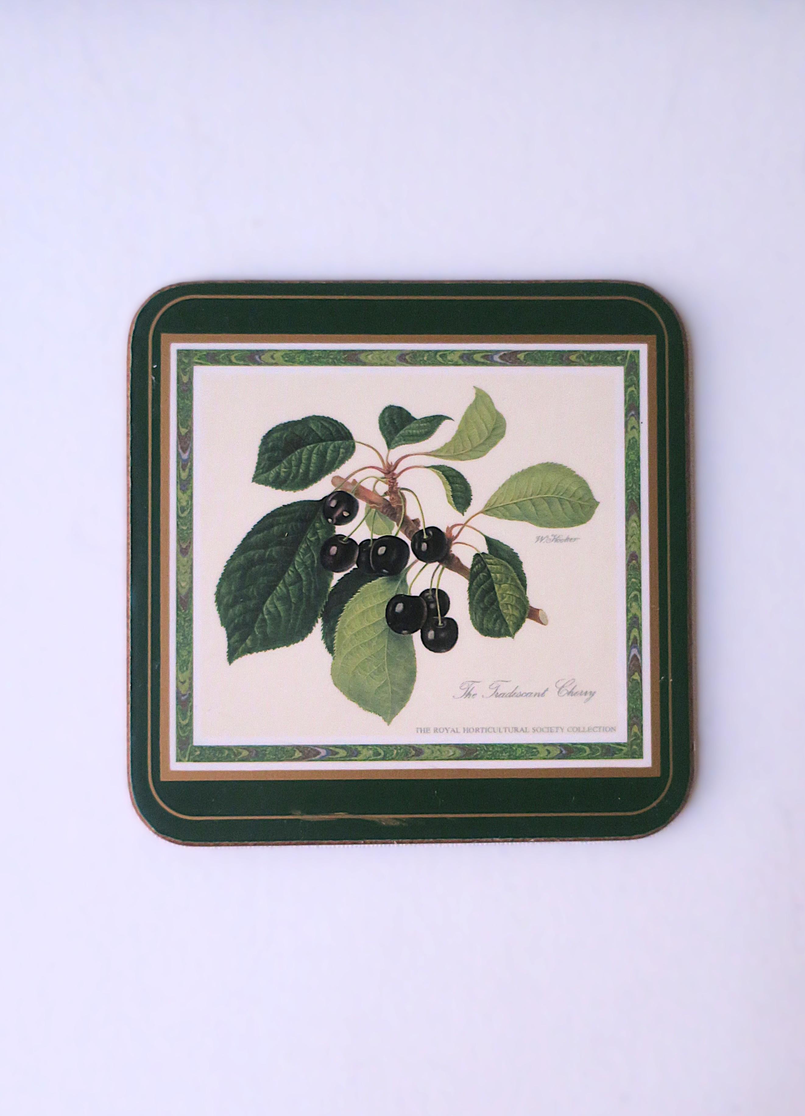 Botanical Fruit Coasters, Set of 6 For Sale 1