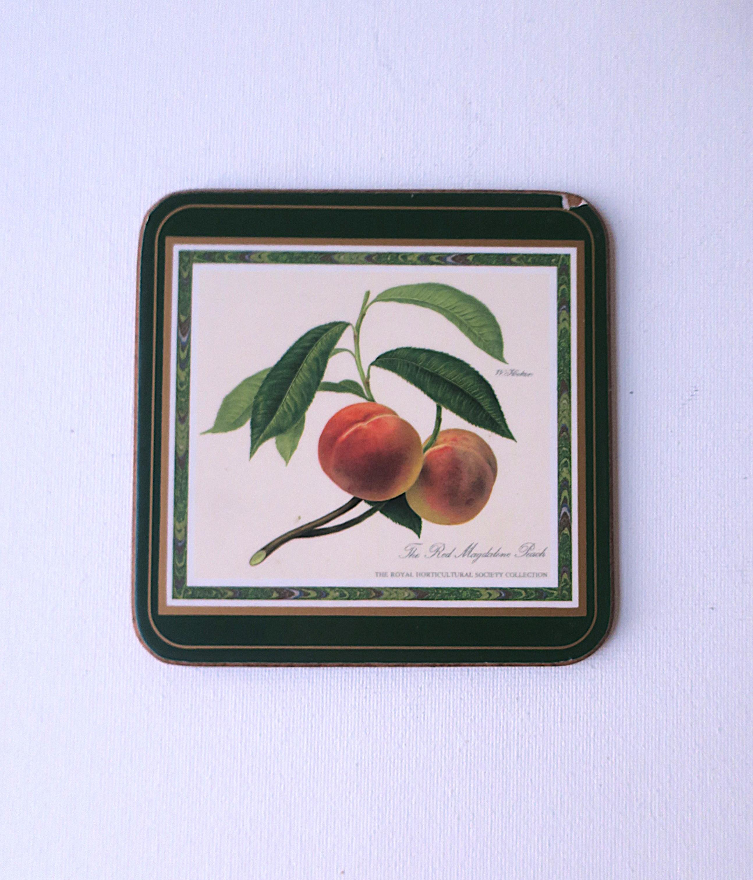 Botanical Fruit Coasters, Set of 6 For Sale 2