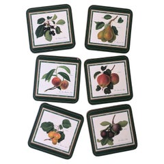 Vintage Botanical Fruit Coasters, Set of 6