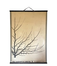 Botanical Fruit tree pruning school poster, Czechoslovakia 1960s