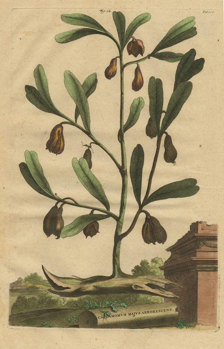 This antique print, titled 