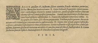 Botanical Illustration of Saint Lawrence's (Madagascar) Seeds and Plants, 1601, view 6
