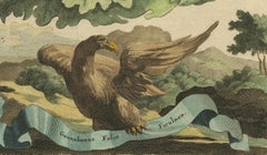 Ilustración botánica de la guanábana (Annona muricata) del Herbal de Munting de 1696