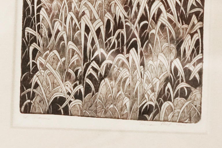 Botanical Intaglio Print For Sale at 1stDibs