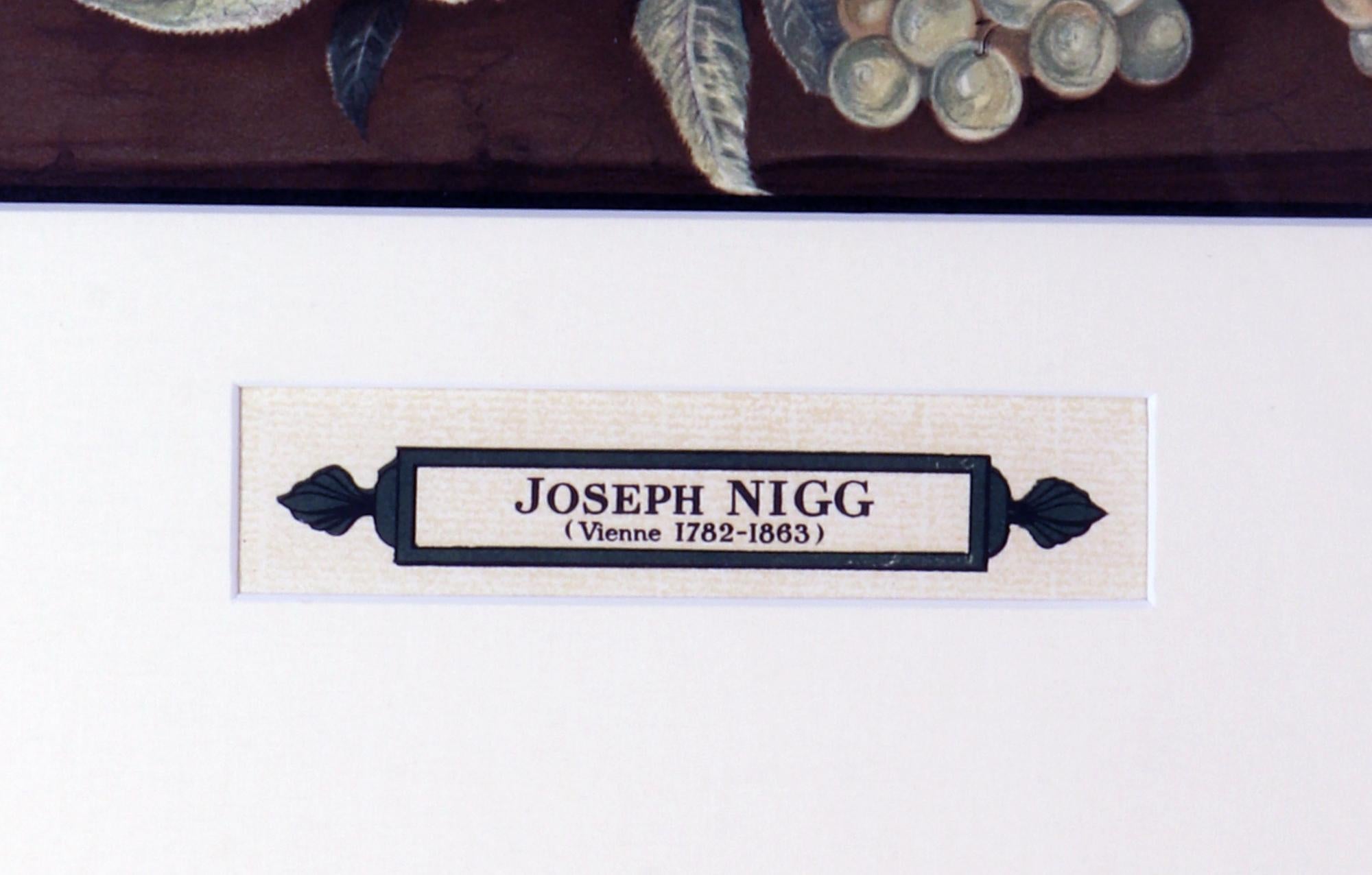 Carta Stampa botanica di grandi dimensioni dopo Joseph Nigg, da Atelier lithographiques Mourl in vendita