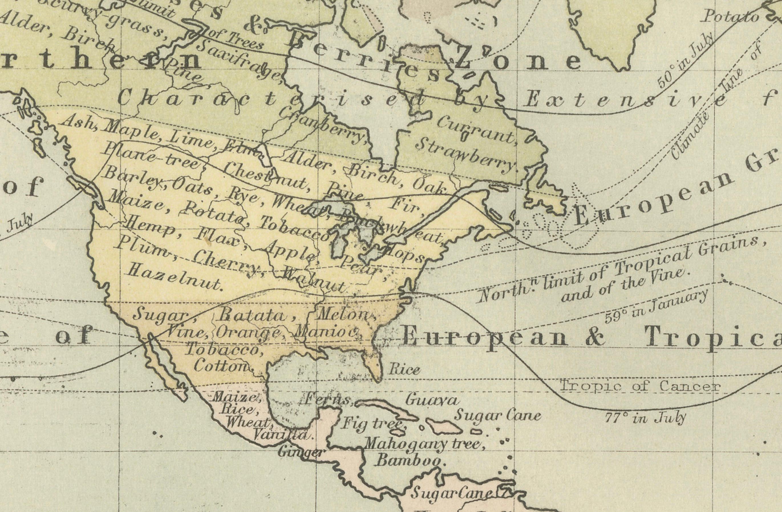 Scottish Botanical Map by A.K. Johnston – Global Plant Distribution Chart 1852 For Sale