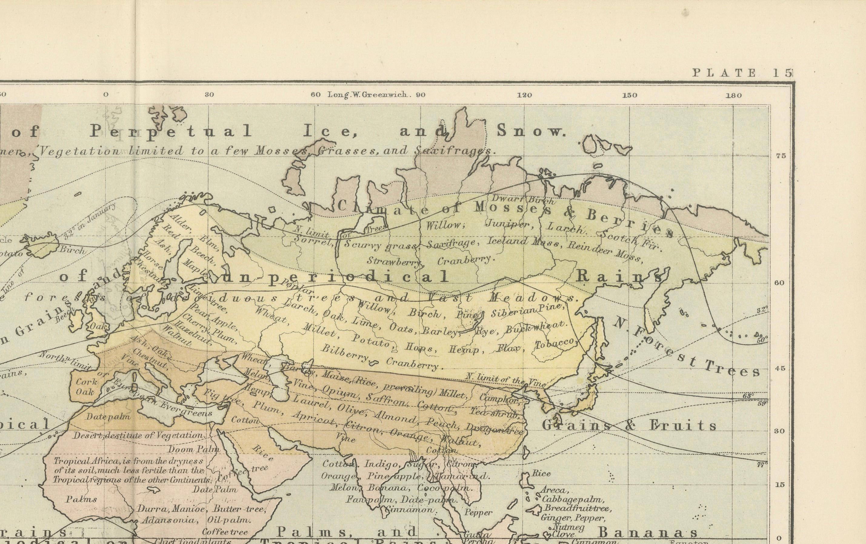 19th Century Botanical Map by A.K. Johnston – Global Plant Distribution Chart 1852 For Sale