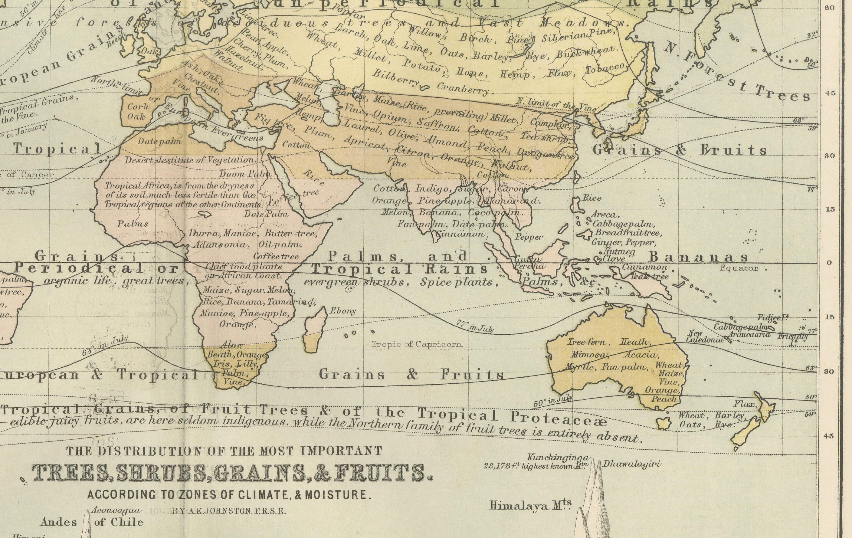 Paper Botanical Map by A.K. Johnston – Global Plant Distribution Chart 1852 For Sale