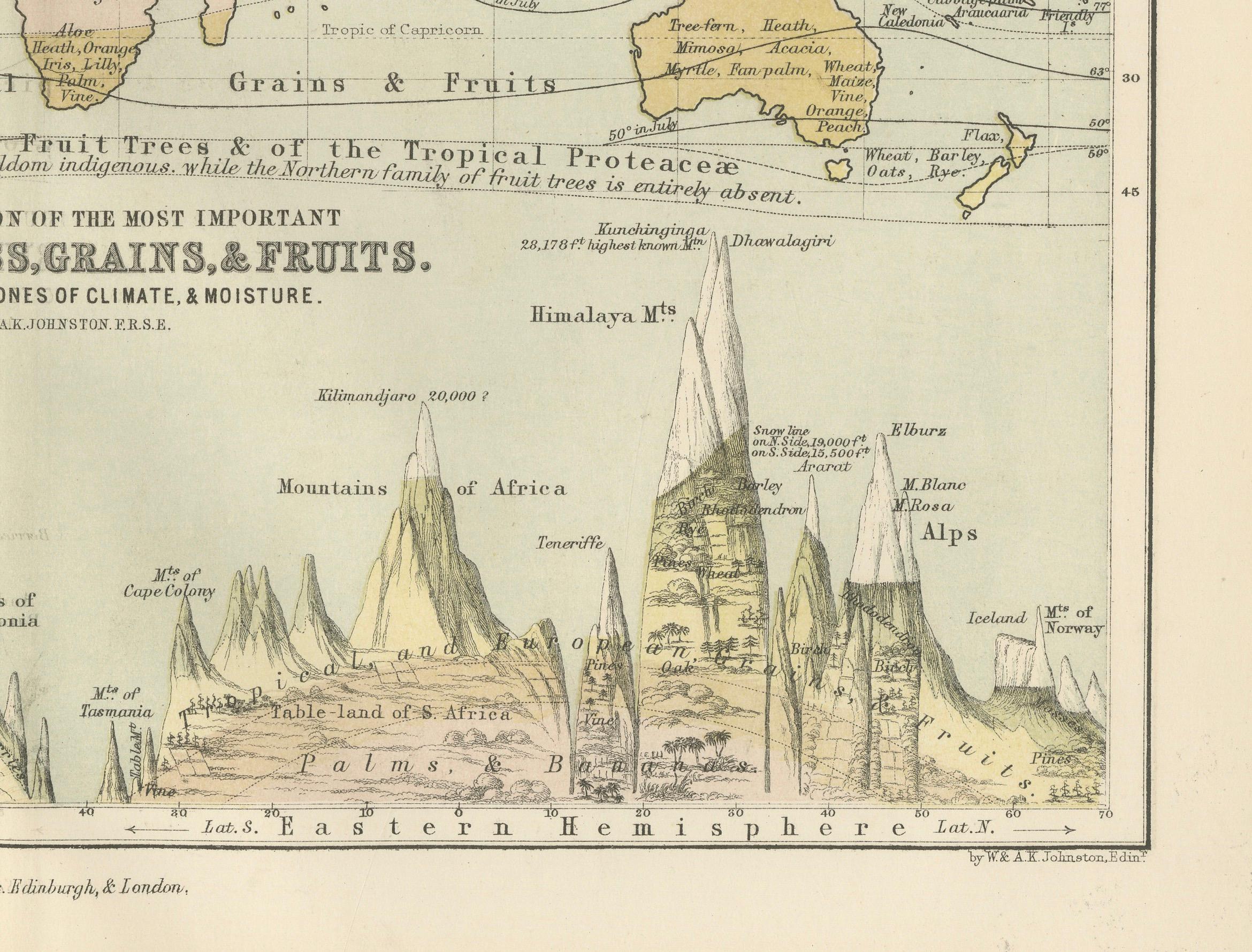 Botanical Map by A.K. Johnston – Global Plant Distribution Chart 1852 For Sale 1