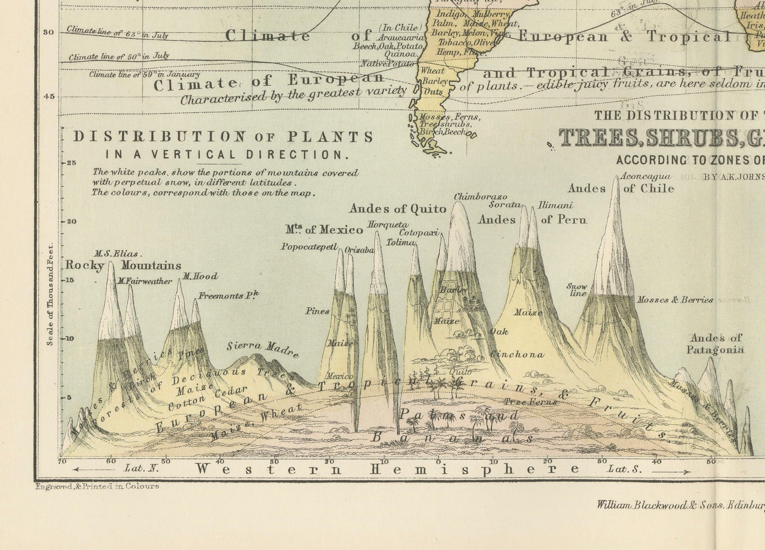 Botanical Map by A.K. Johnston – Global Plant Distribution Chart 1852 For Sale 2