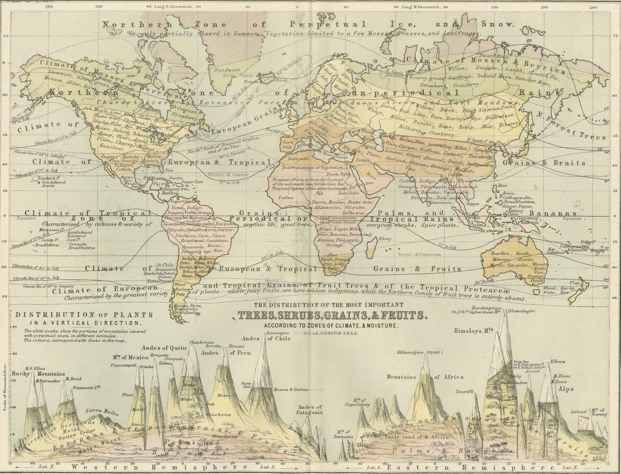 Botanical Map by A.K. Johnston – Global Plant Distribution Chart 1852 For Sale 3