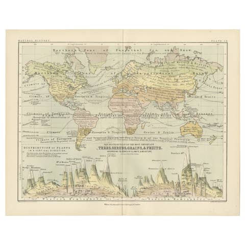 Botanical Map by A.K. Johnston – Global Plant Distribution Chart 1852
