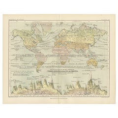 Antique Botanical Map by A.K. Johnston – Global Plant Distribution Chart 1852
