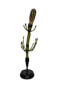 Botanical model, Equissetum limosum L. by Robert Brendel, Breslau, ca. 1880