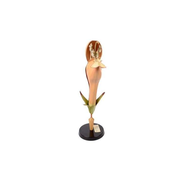 Modèle éducatif de la fleur de Lamium purpureum L. (fausse ortie pourpre) en papier mâché peint avec une base en bakélite des années 1930, fabrication allemande. Hauteur 53 cm - 20.8 inches, base 15.5 cm - 6.1 inches, largeur de la fleur 19 cm -
