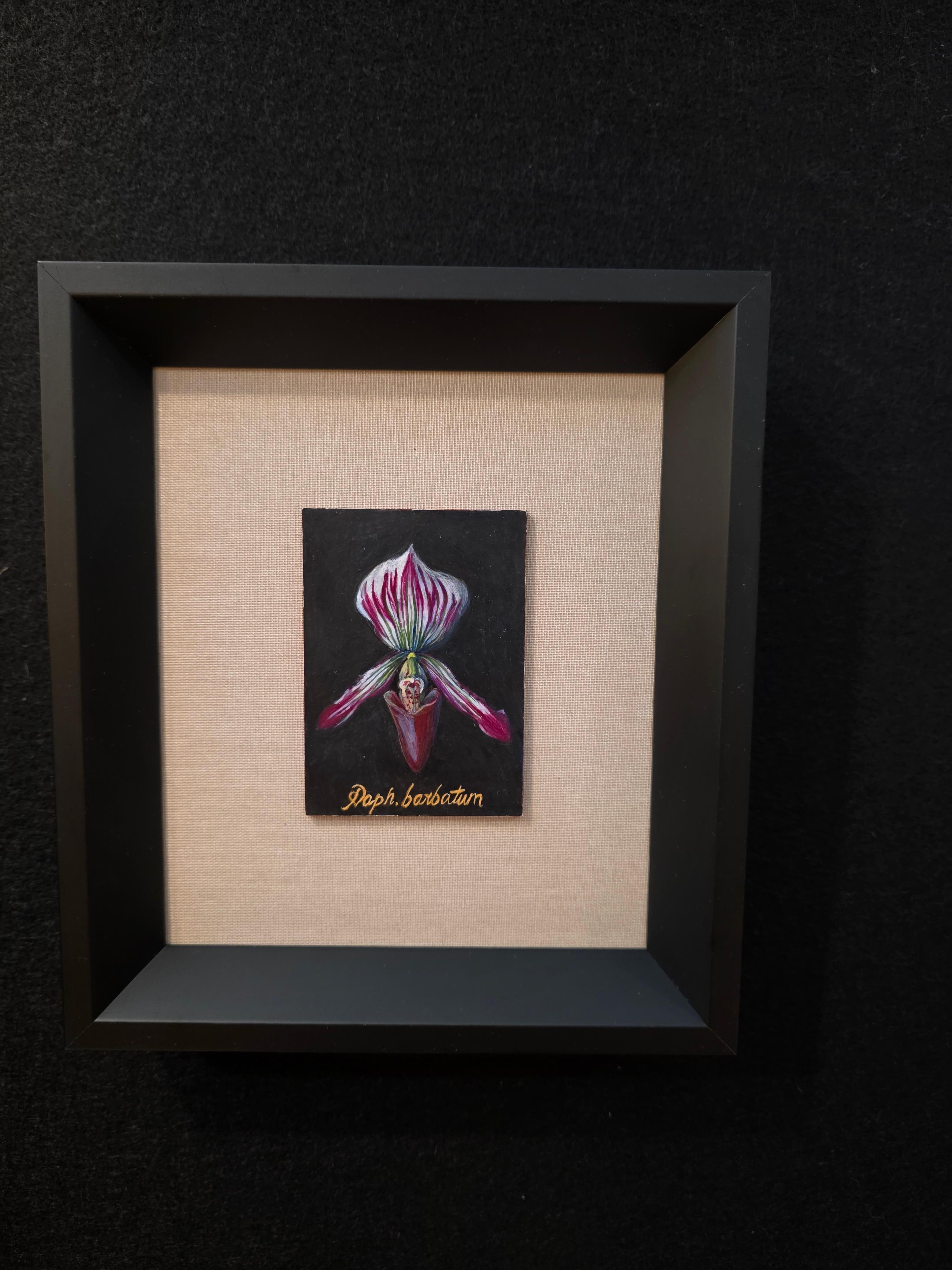 Eine wunderbare Eitempera auf Karton Gemälde von amerikanischen Künstler Meng S. Choy. Diese besondere Orchidee trägt den lateinischen Namen Paphiopedilum Moquettianum. Dieser Artikel ist auf der Rückseite des Brettes signiert und datiert, ebenso