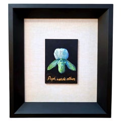 Orchid Botanical Painting on Board American