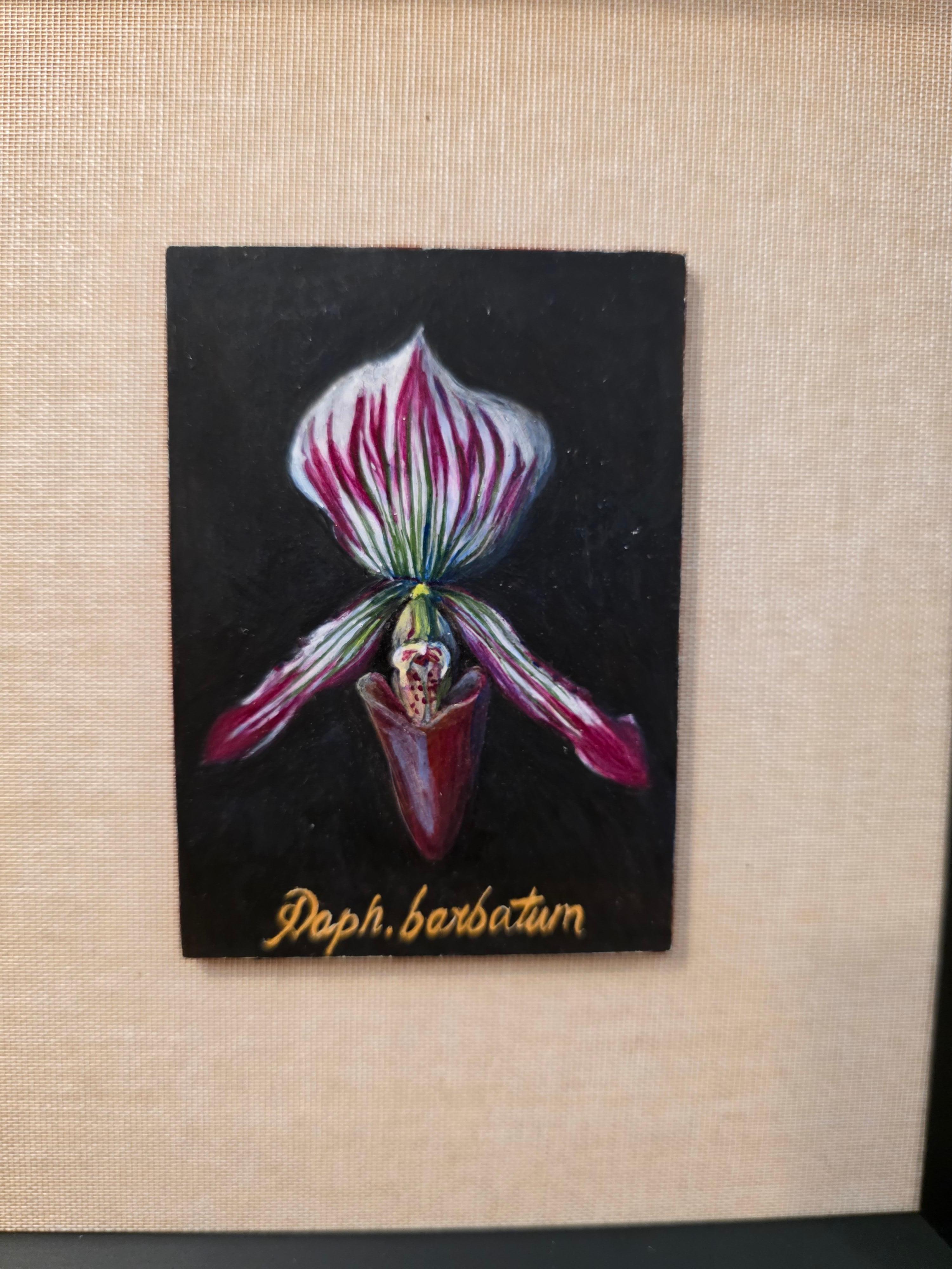 Botanische Orchidee Ei Tempera auf Karton Amerikanischer Künstler (amerikanisch) im Angebot