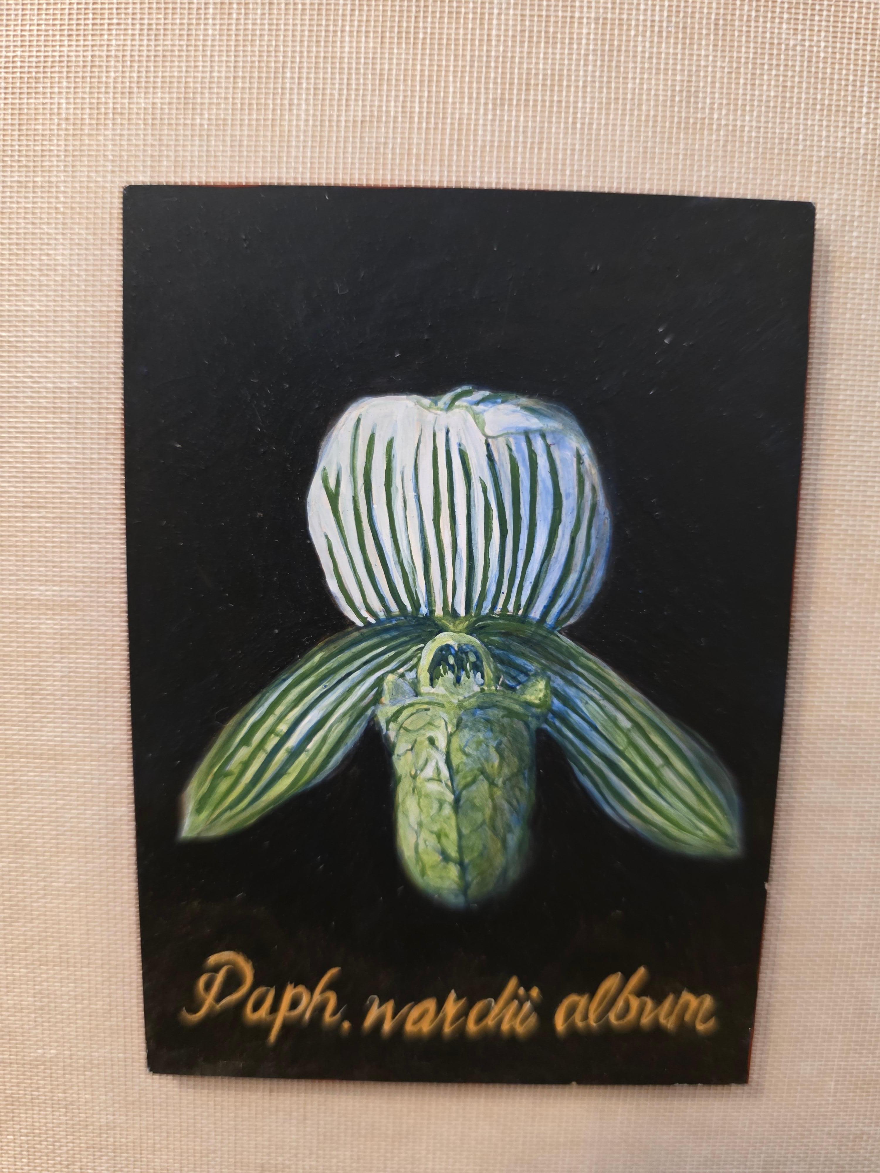 Botanische Orchidee Ei Tempera auf Karton Amerikanischer Künstler (amerikanisch) im Angebot