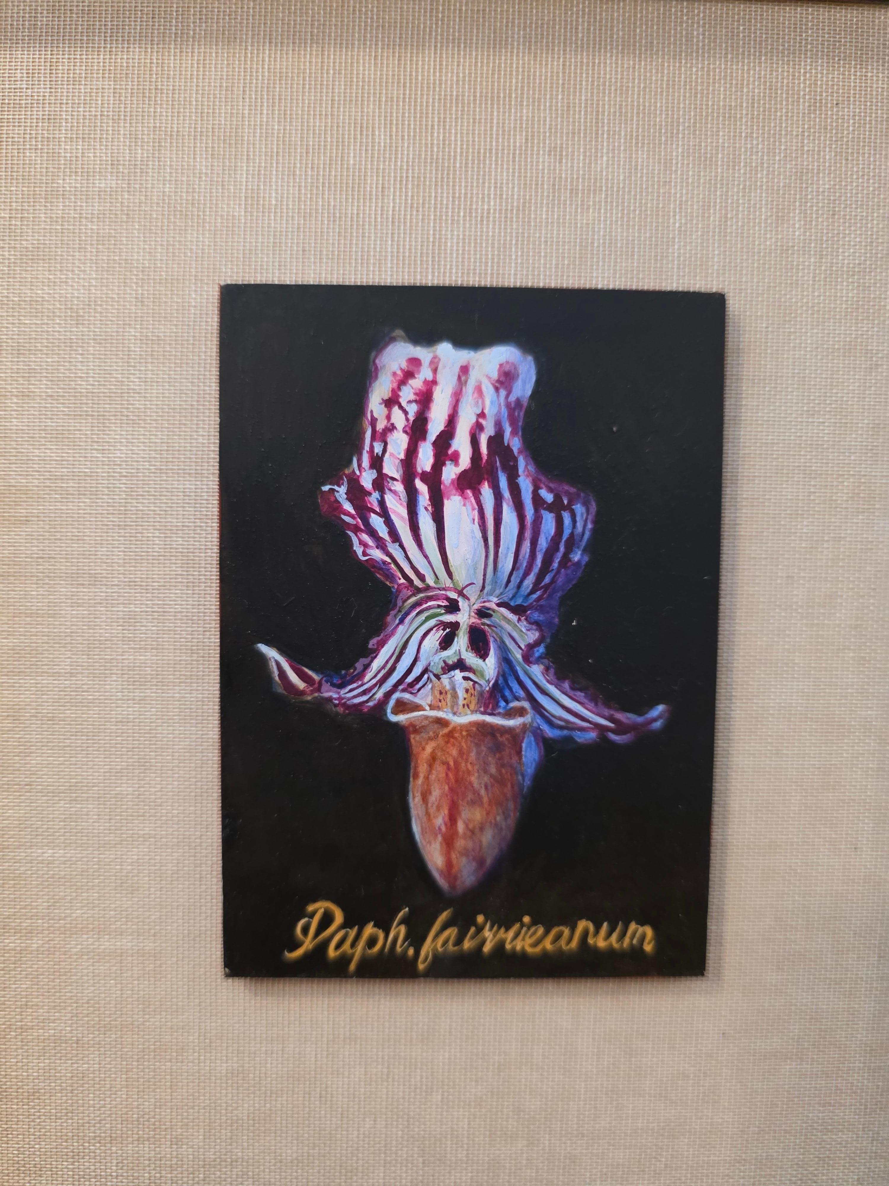 Botanische Orchidee Ei Tempera auf Karton Amerikanischer Künstler (amerikanisch) im Angebot