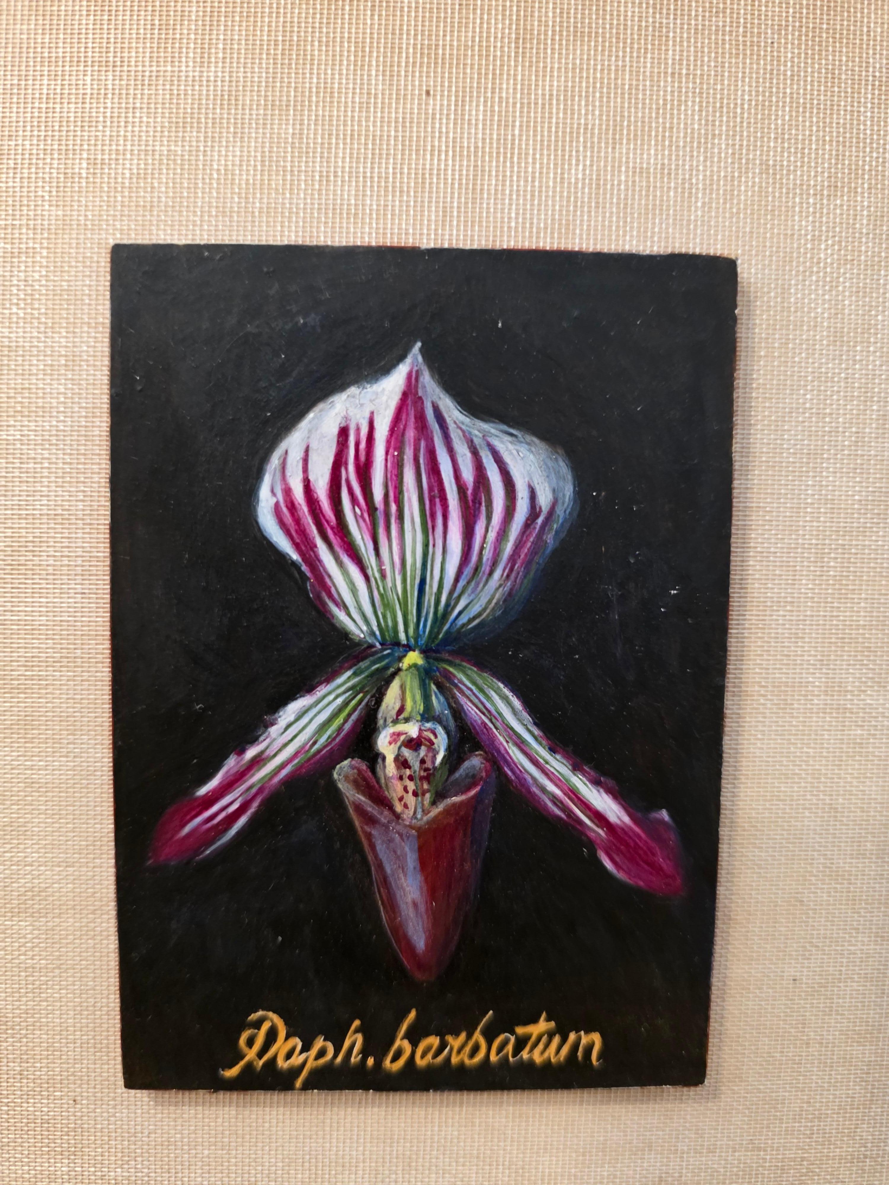 Botanische Orchidee Ei Tempera auf Karton Amerikanischer Künstler (Handbemalt) im Angebot