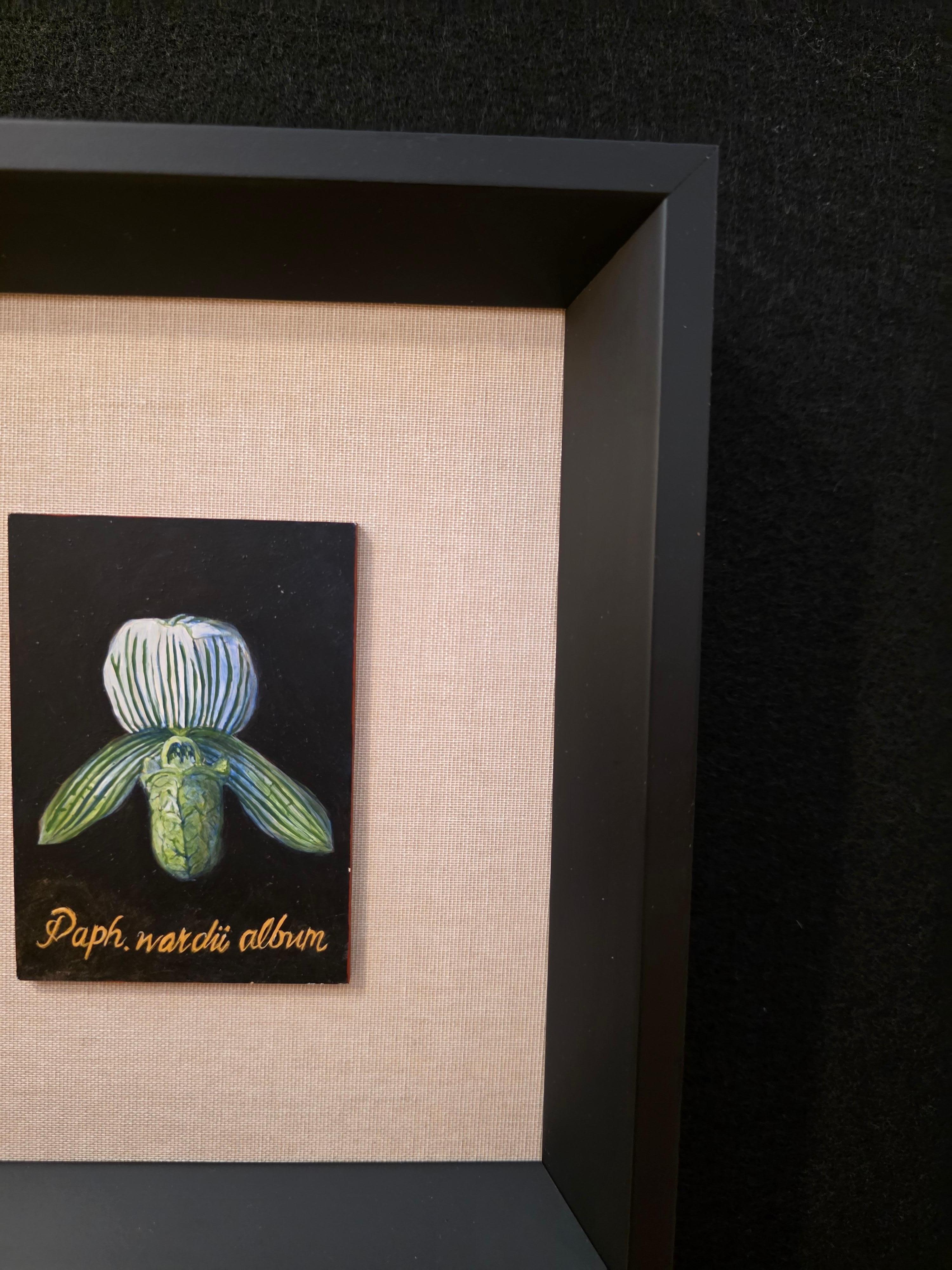 Botanische Orchidee Ei Tempera auf Karton Amerikanischer Künstler (Handbemalt) im Angebot