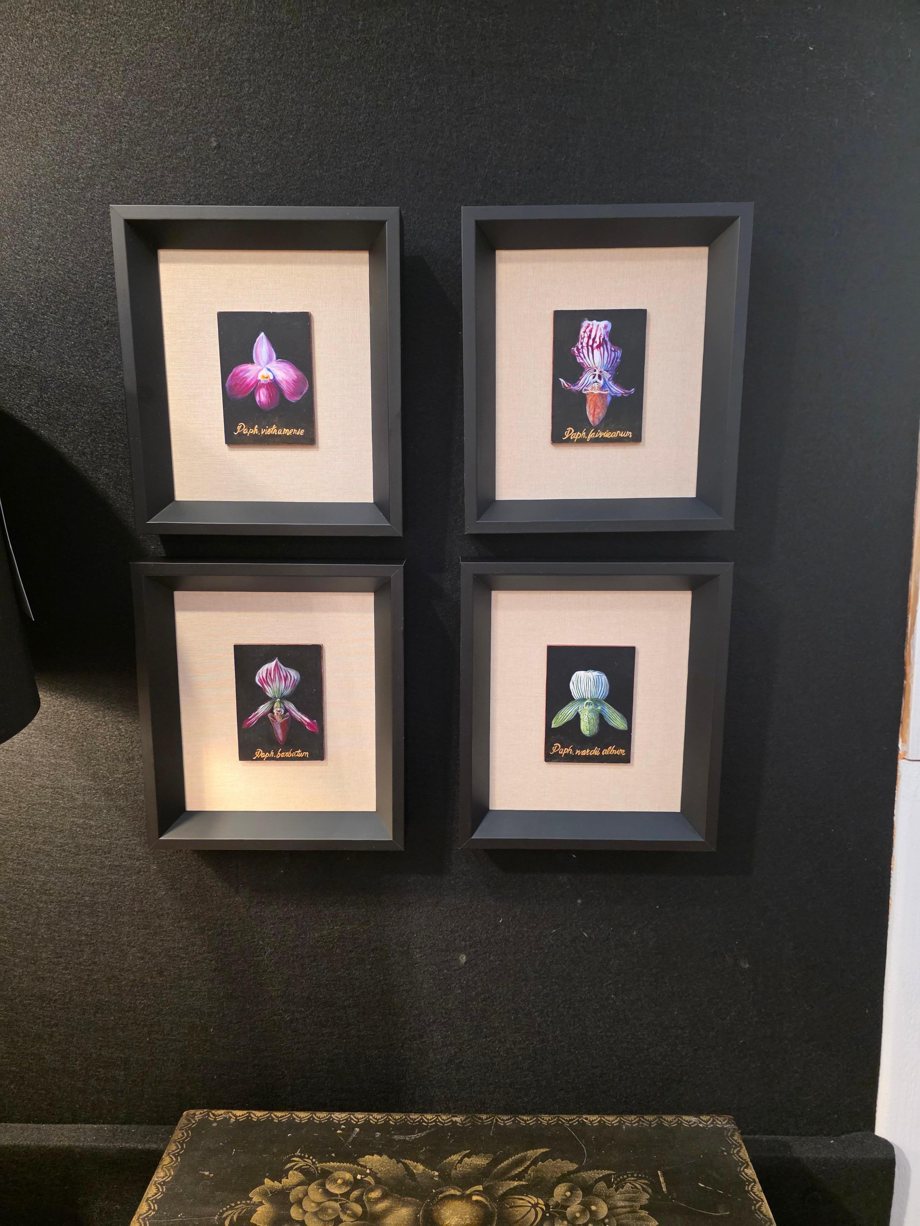 Botanische Orchidee Ei Tempera auf Karton Amerikanischer Künstler (21. Jahrhundert und zeitgenössisch) im Angebot