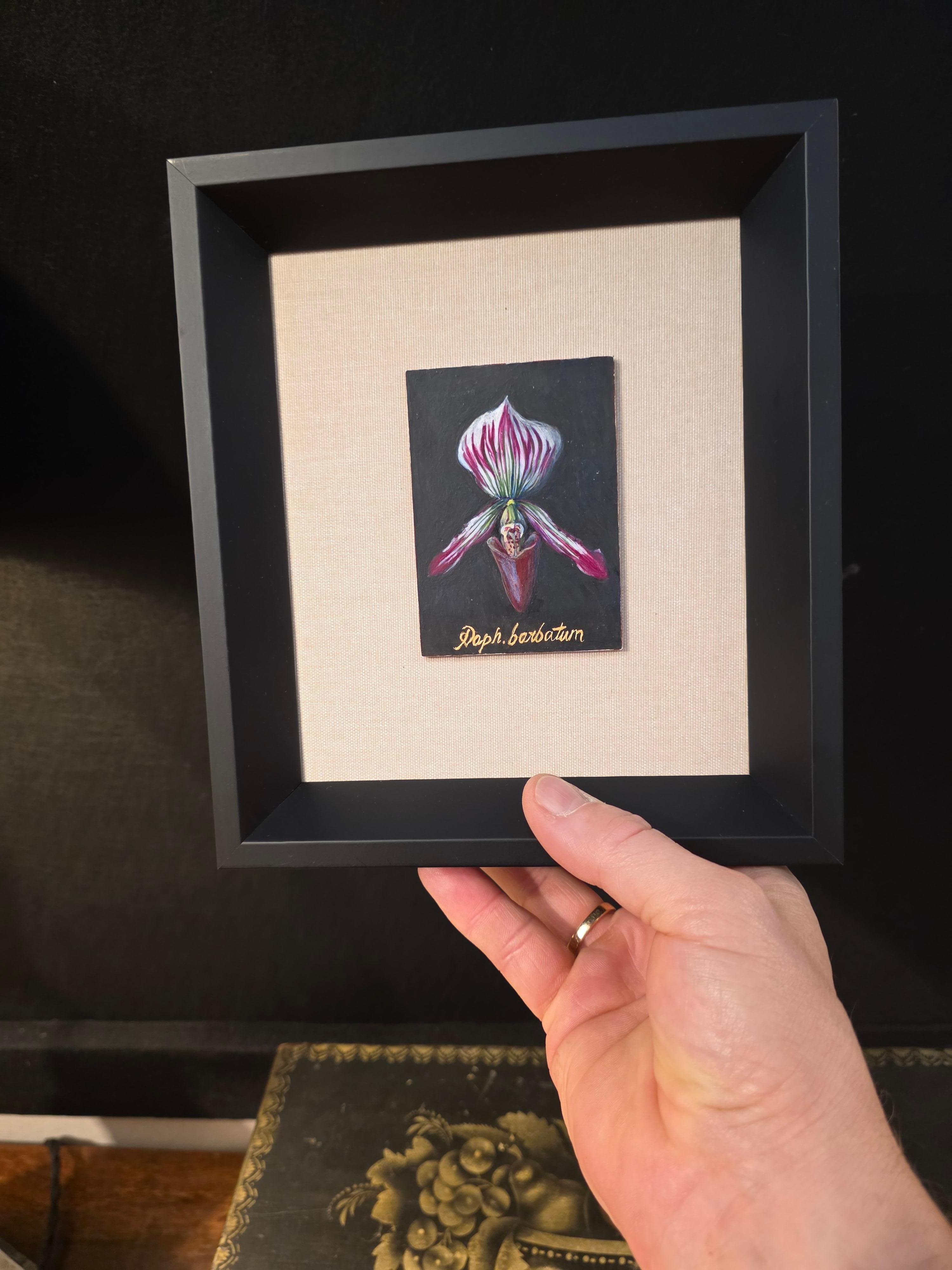 Botanische Orchidee Ei Tempera auf Karton Amerikanischer Künstler (Farbe) im Angebot