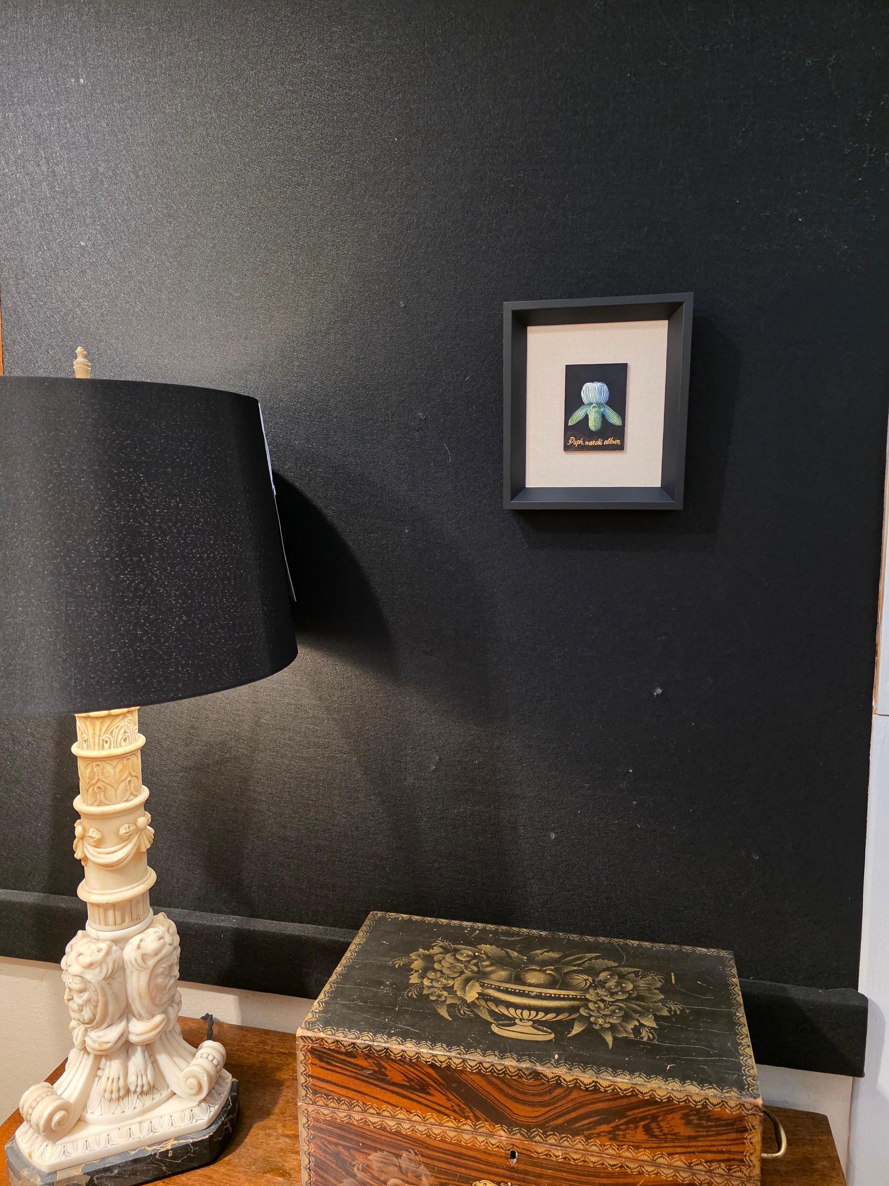 Botanische Orchidee Ei Tempera auf Karton Amerikanischer Künstler (Farbe) im Angebot