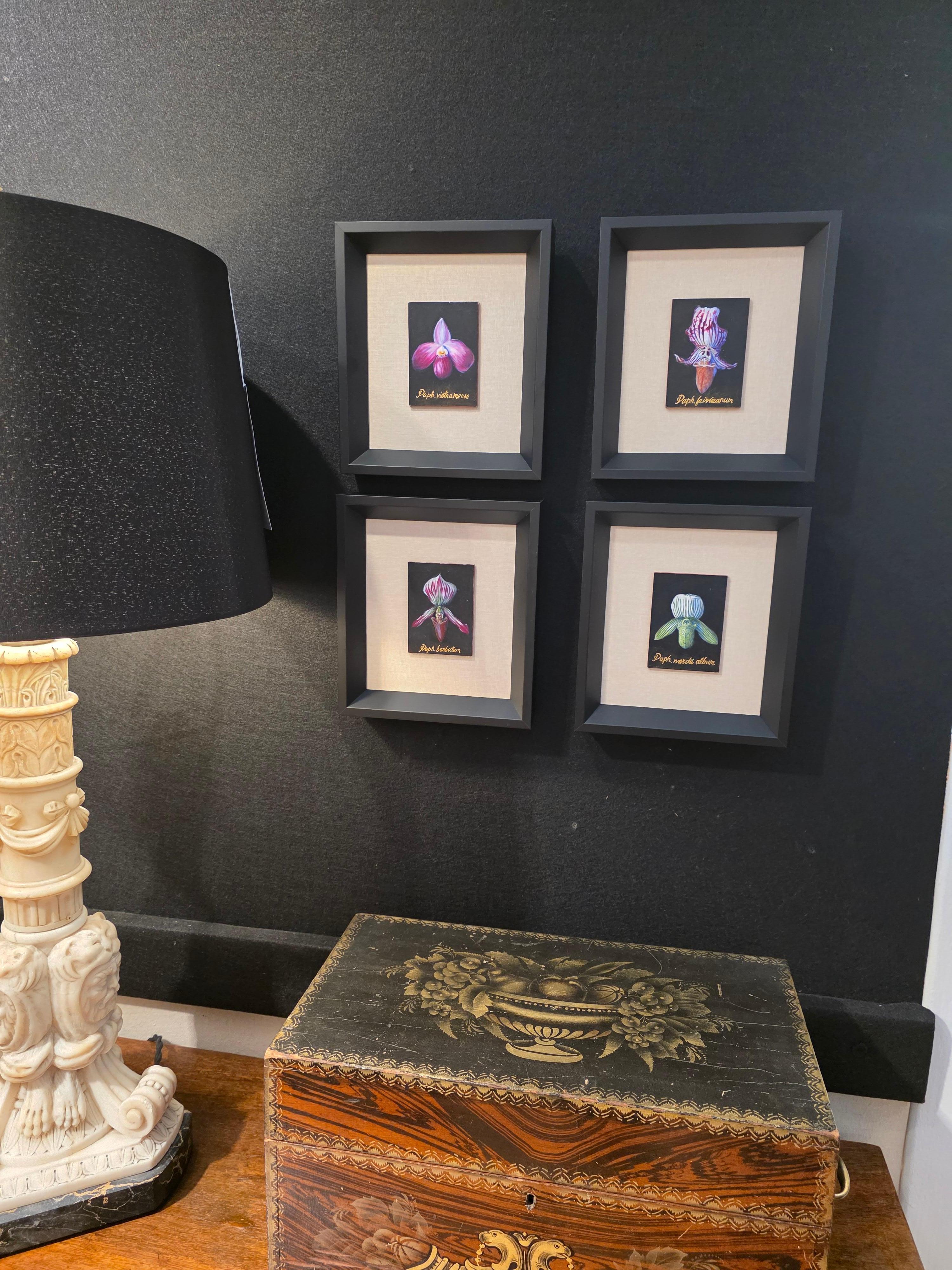 Botanische Orchidee Ei Tempera auf Karton Amerikanischer Künstler im Angebot 1