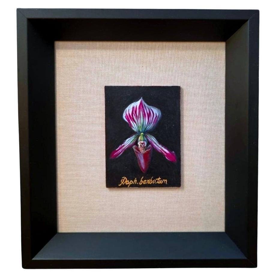 Botanische Orchidee Ei Tempera auf Karton Amerikanischer Künstler