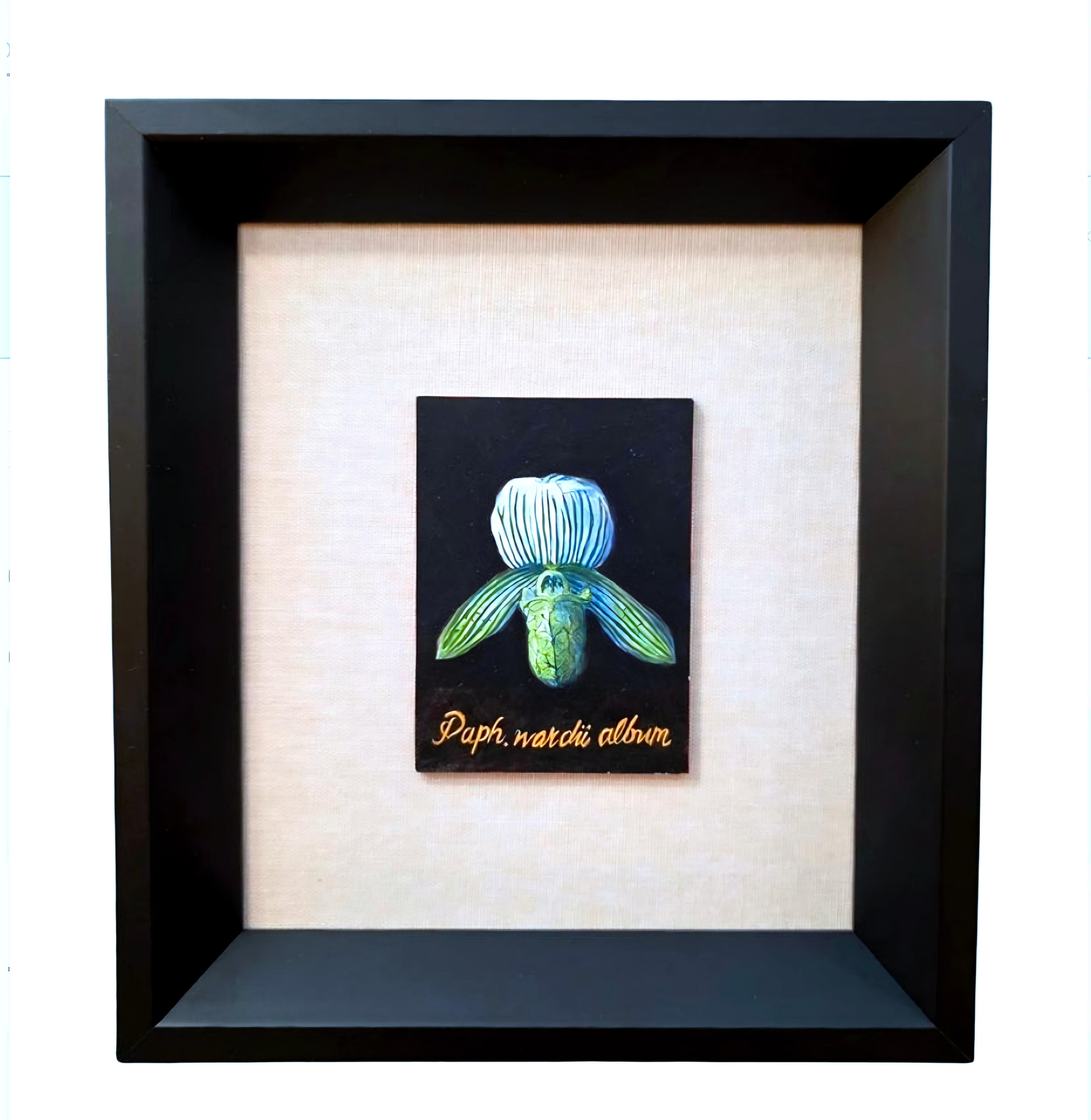 Botanische Orchidee Ei Tempera auf Karton Amerikanischer Künstler im Angebot