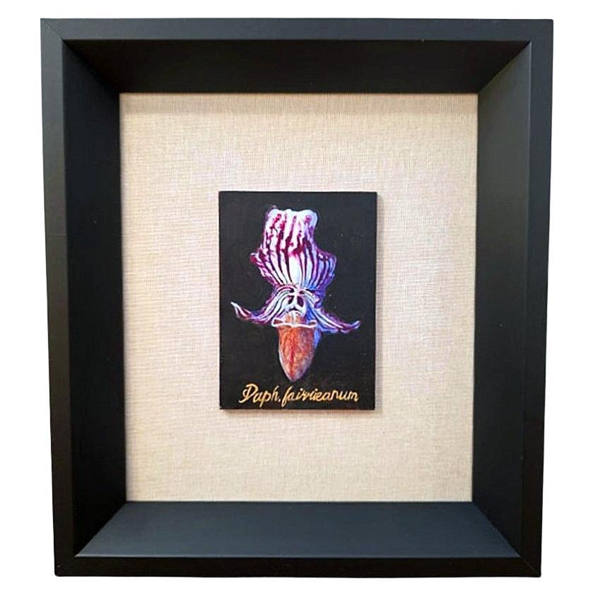 Botanische Orchidee Ei Tempera auf Karton Amerikanischer Künstler