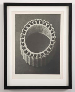 Botanical Photogravures by Karl Blossfeldt, Berlin, 1928, Set of 12