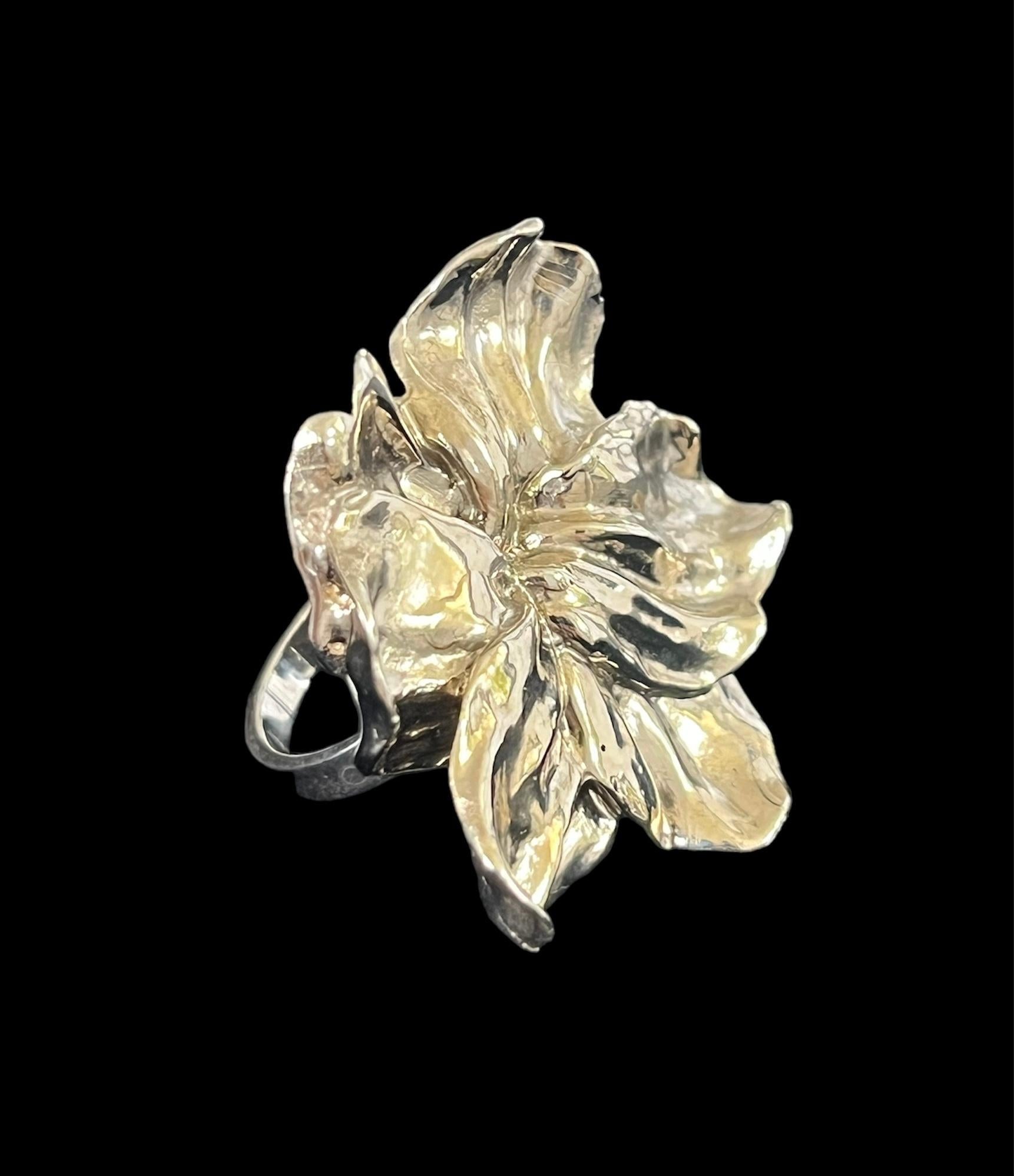 Plata de ley maciza

Tavia Atelier x Kristina Larson es una línea de joyería ART to WEAR independiente y sostenible. La colección Botanical se lanzó en 2024 y consiste en atrevidas piezas que se esculpen a mano en arcilla en Nueva Orleans y luego se