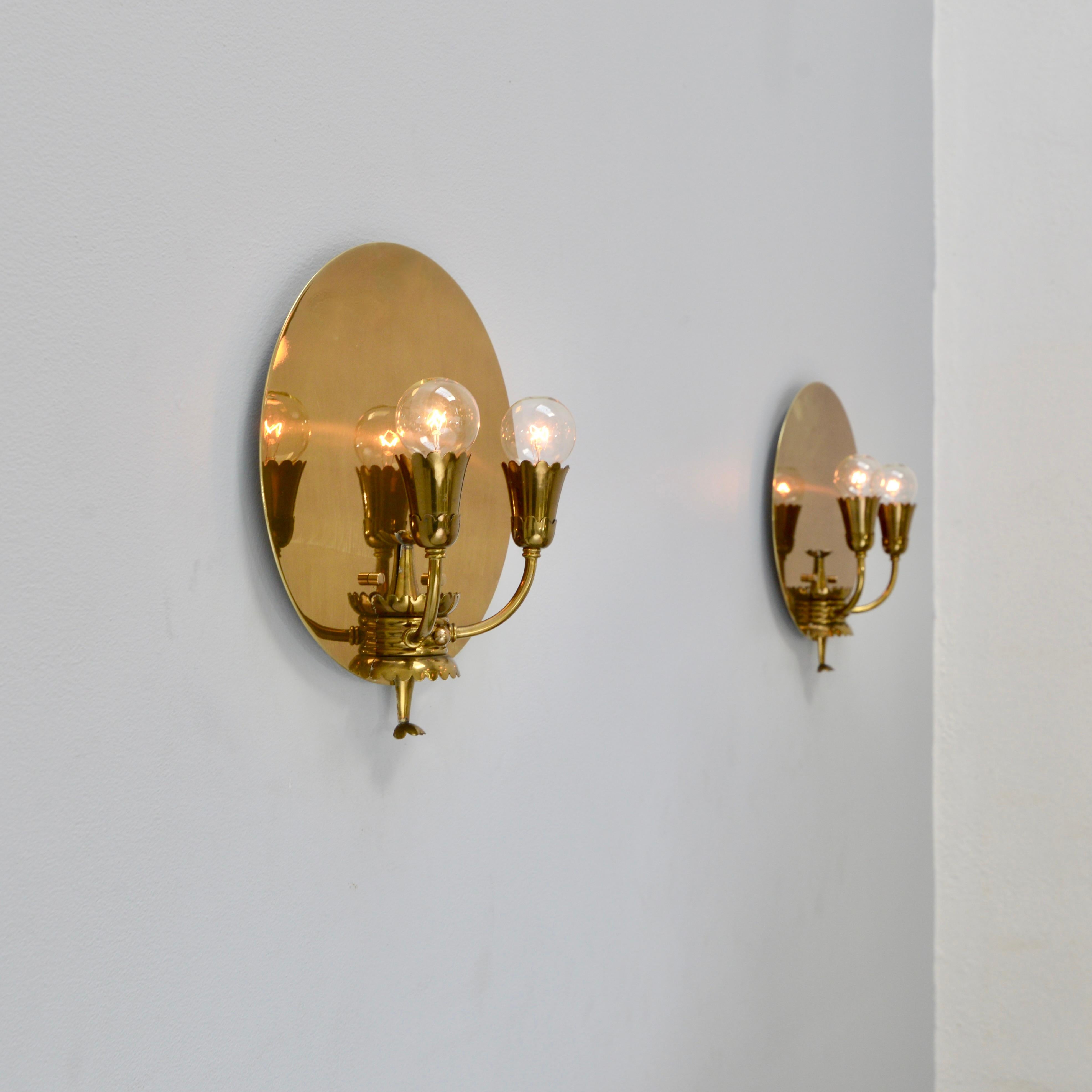 Botanical Shield Sconces II 4