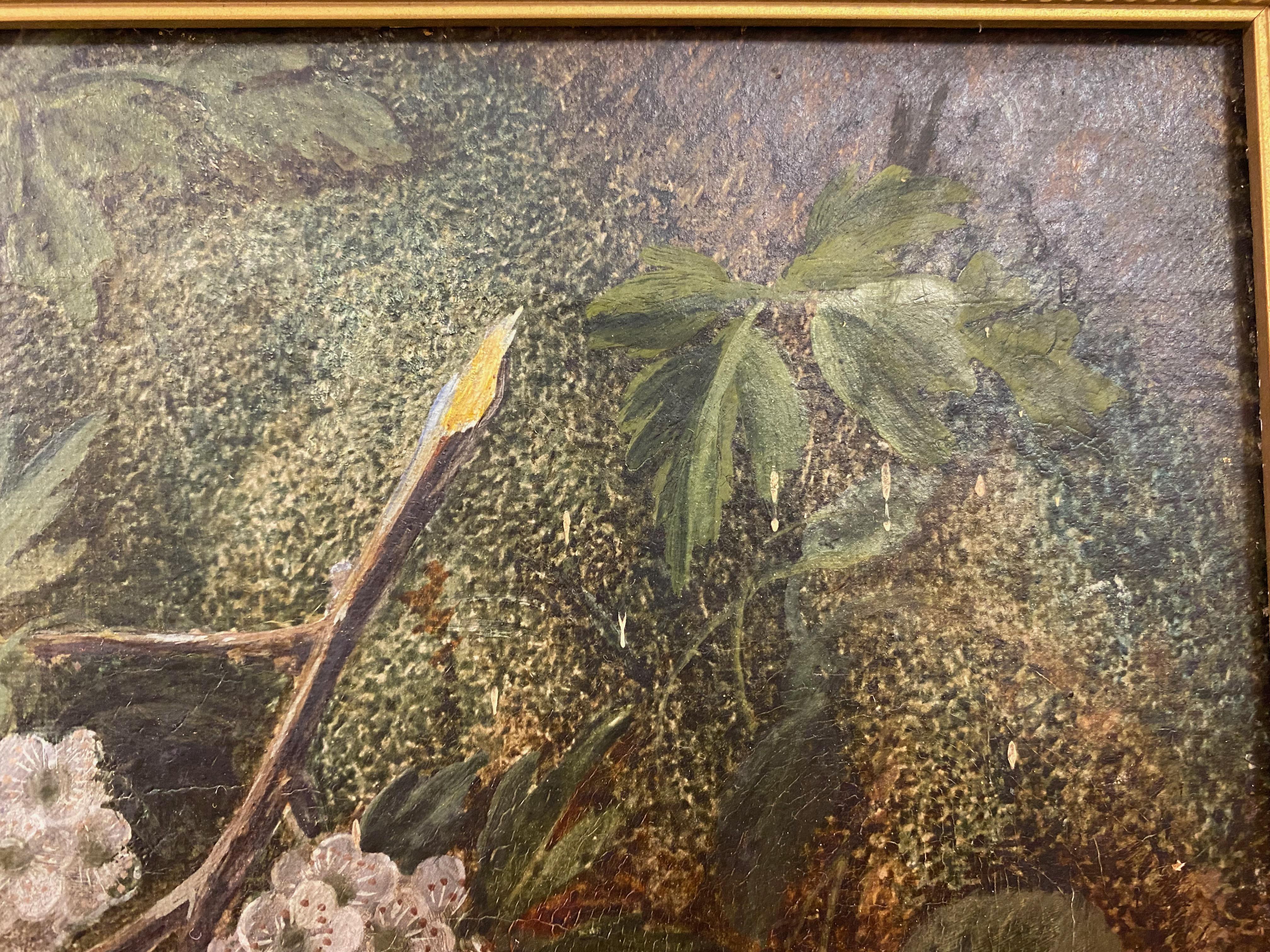 botanisches Stillleben, l auf Leinwand, von Vincent Clare im Angebot 1