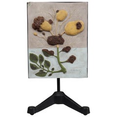 Botanical Teaching Model Wood and Plaster on Metal Base Czech Republic, 1940s