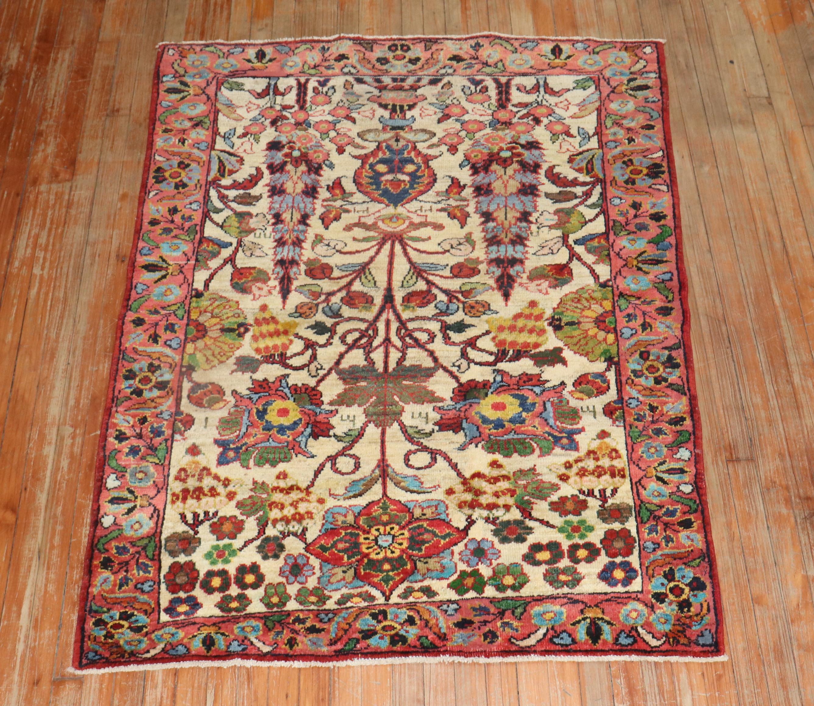 Agra Botanical Vintage Turkish Carpet For Sale