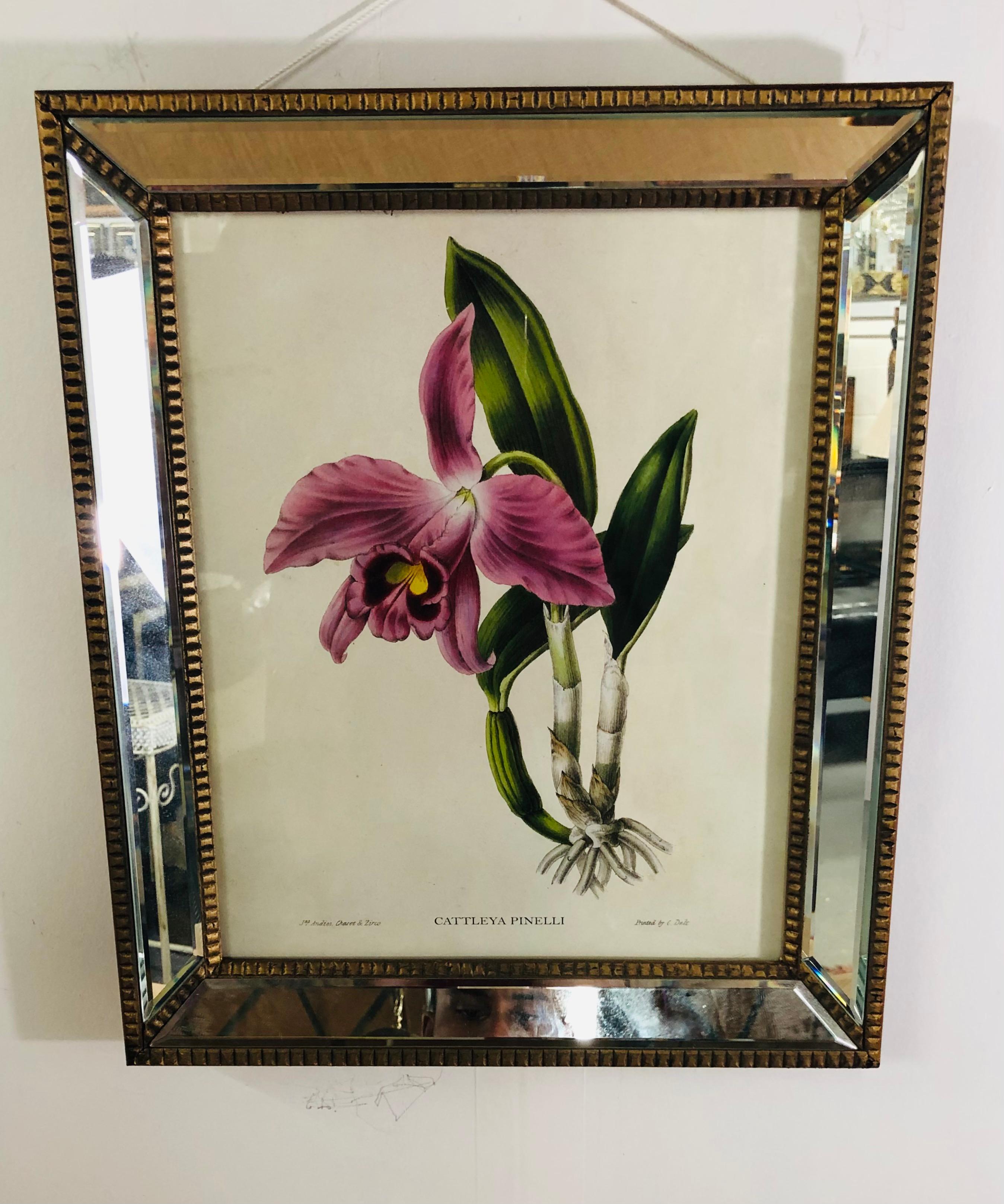 Botanicals of Cattleya Orchids in a Mirrored Custom Frame, Set of 6 6