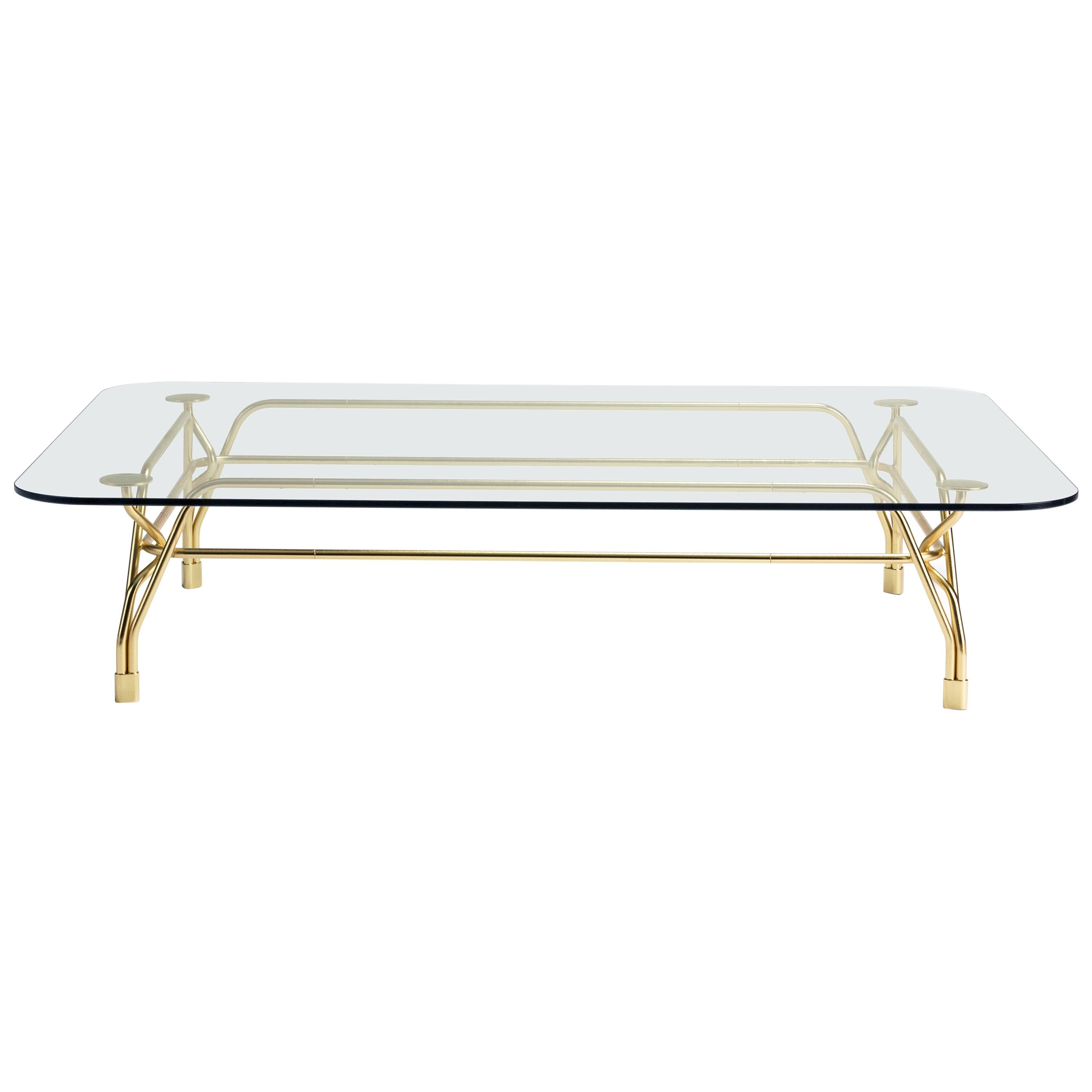 Botany Coffee Table in Glass Top with Polished Brass Legs For Sale